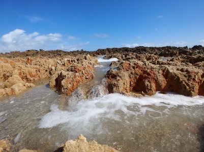 20180204_113855.jpg