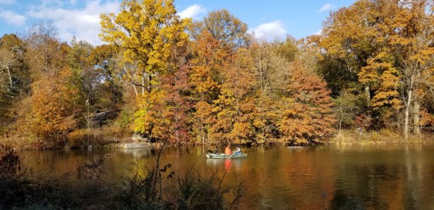 NYC Central Park.jpg