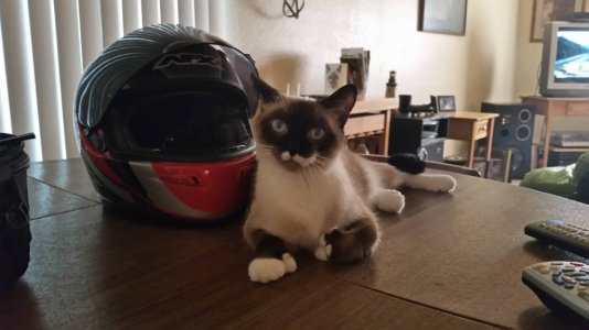 20150718_174525.jpg