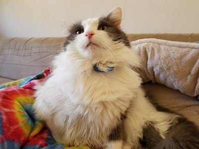 20180209_125939-01.jpeg