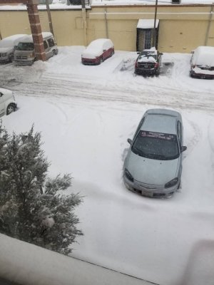 20180209_102030.jpg