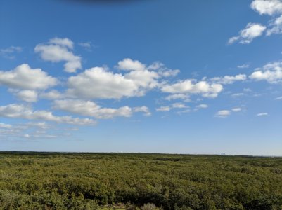 MVIMG_20180104_103915.jpg