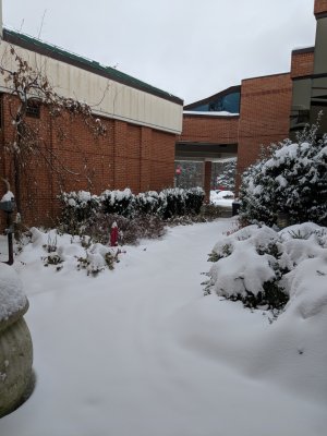 MVIMG_20180211_140516.jpg