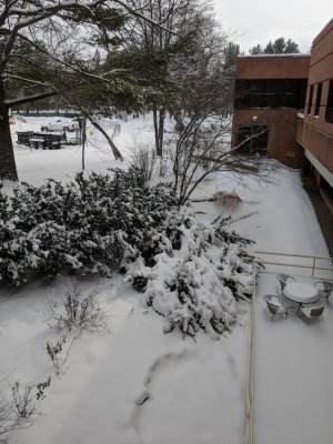 MVIMG_20180211_140212.jpg