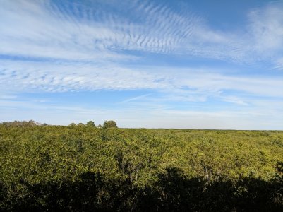 MVIMG_20180105_142222.jpg