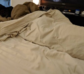 IMG_20180317_112951.jpg