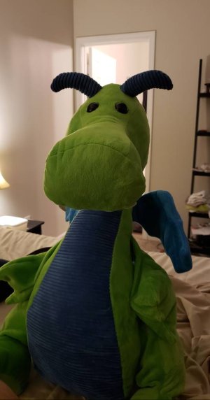 20180317_113959.jpg