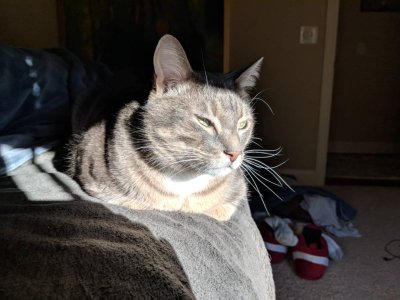 MVIMG_20180101_093503.jpg