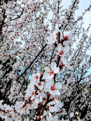 IMG_20180211_144402.jpg