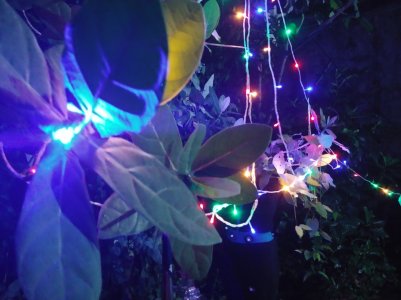 20171231_225921.jpg
