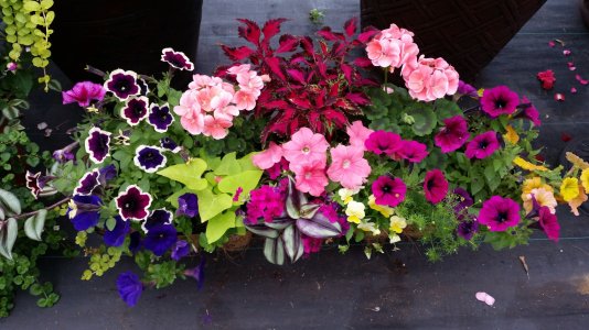 20170525_141946.jpg