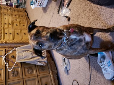 20180317_161810.jpg