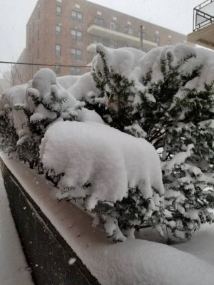 20180104_122508.jpg