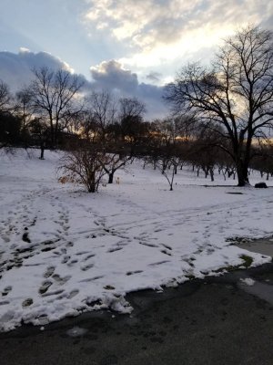 20171210_154325.jpg