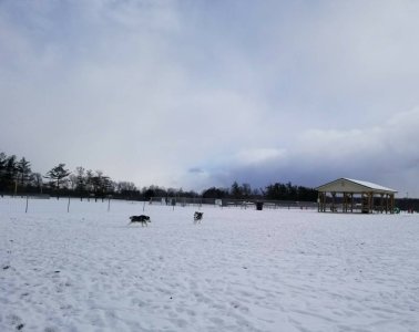 20180106_142753_002.jpg