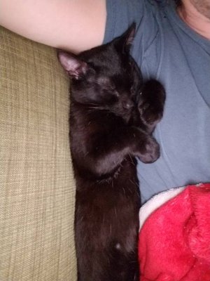 20180319_141418.jpg