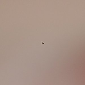 20180319_155011.jpg