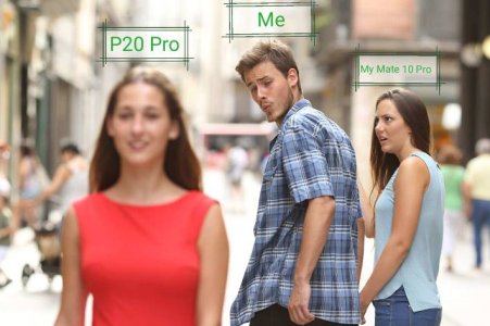 22773.jpg