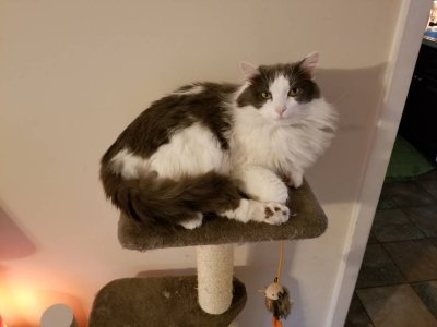 20180317_152917.jpg