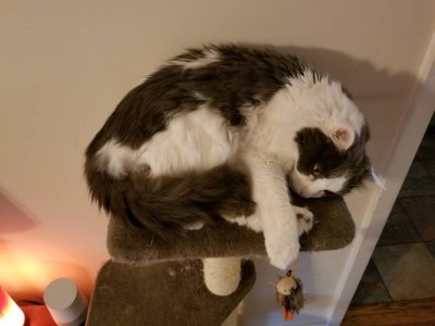 20180317_152858.jpg