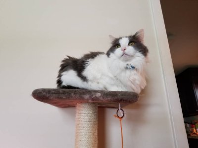 20180316_143136.jpg