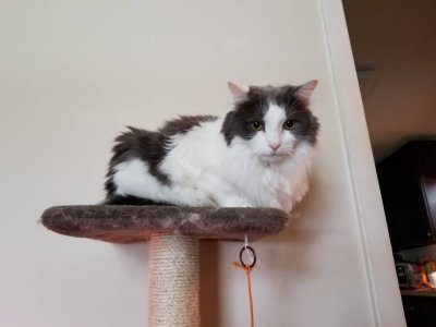 20180316_143121.jpg