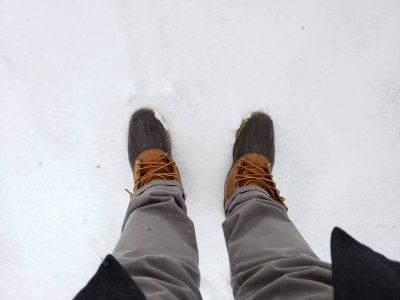 20180321_133131.jpg