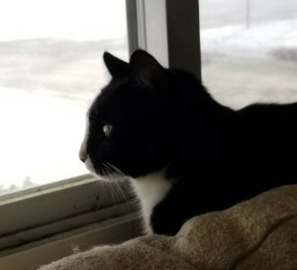 20180107_095729.jpg