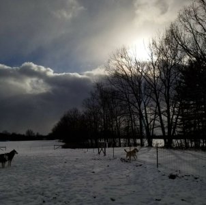 20180106_142303.jpg