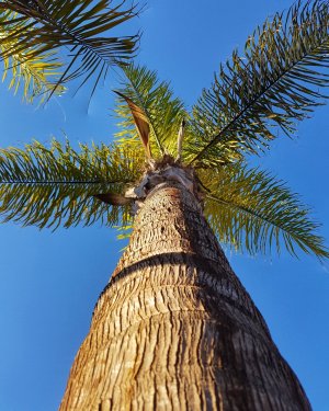 IMG_20180217_115105_335.jpg