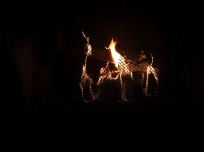 IMG_20180323_175056.jpg