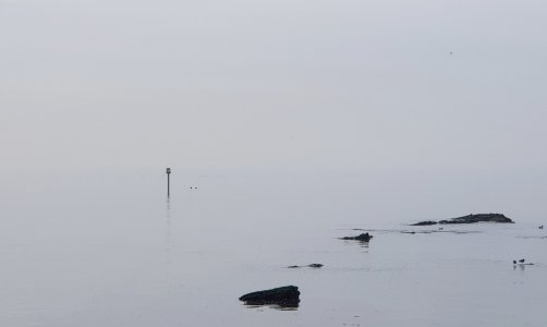 20180219_155730-01.jpg