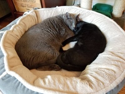 20180515_140357.jpg