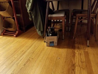 20180324_174656.jpg