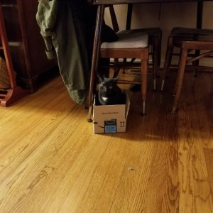 20180324_180256.jpg