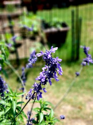 20180516_113531.jpg