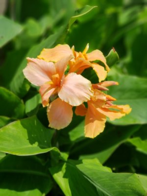 20180515_142037.jpg