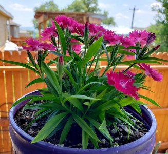 20180515_151534.jpg