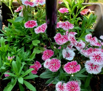 20180515_152025.jpg