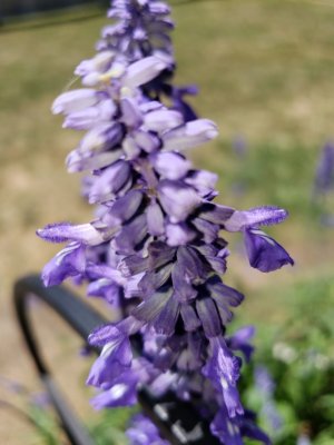 20180423_144748.jpg
