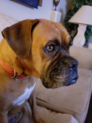 20180420_014205.jpg