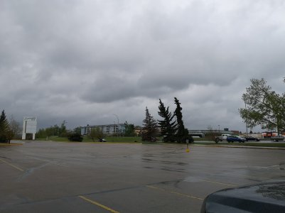IMG_20180517_132607.jpg