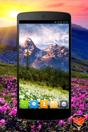 phone_0_0.jpg