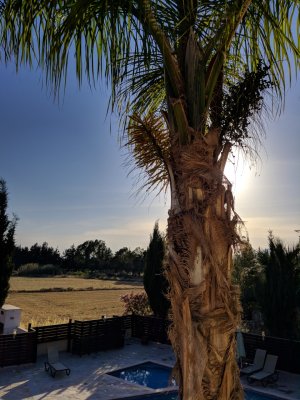 IMG_20180518_182147.jpg