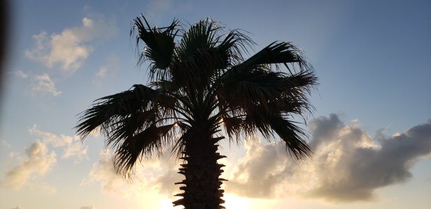 20180519_193703_008.jpg