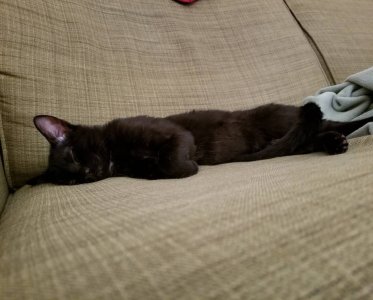 20180223_135008.jpg