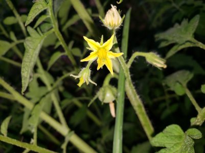 20180509_192526.jpg