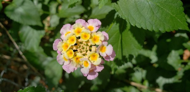 20180510_125554.jpg