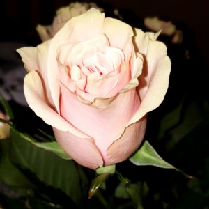 IMG_20180514_000157_459.jpg