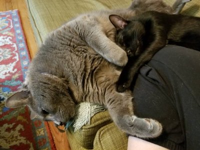 20180520_142641.jpg